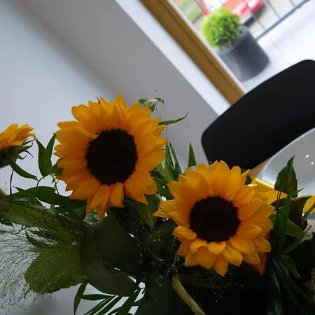 Διαμέρισμα Nowy Zygmunta Premium *