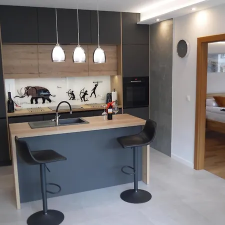 Διαμέρισμα Nowy Zygmunta Premium