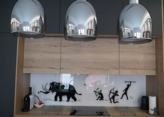 דירה Nowy Zygmunta Premium *