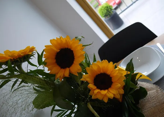 Апартаменты Nowy Zygmunta Premium *