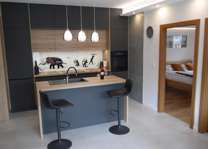 דירה Nowy Zygmunta Premium