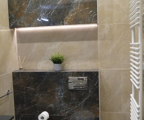 Nowy Zygmunta Premium