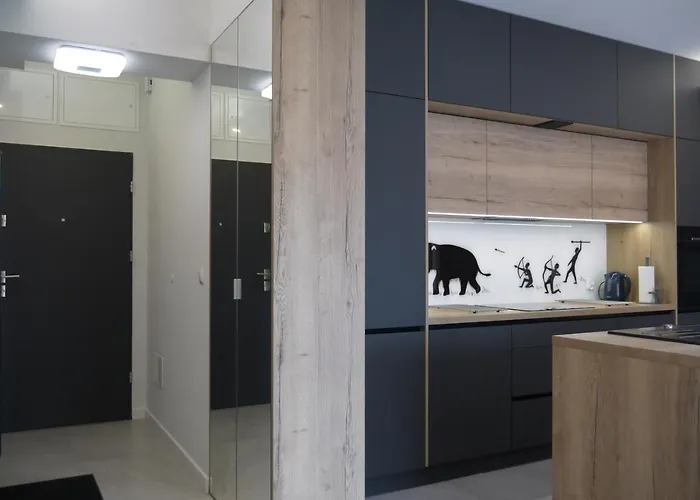 Nowy Zygmunta Premium