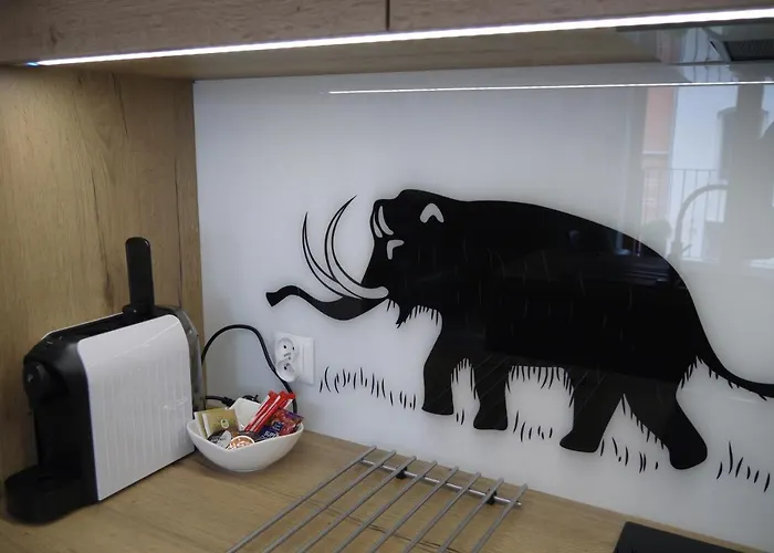 Nowy Zygmunta Premium דירה גליביצ'ה